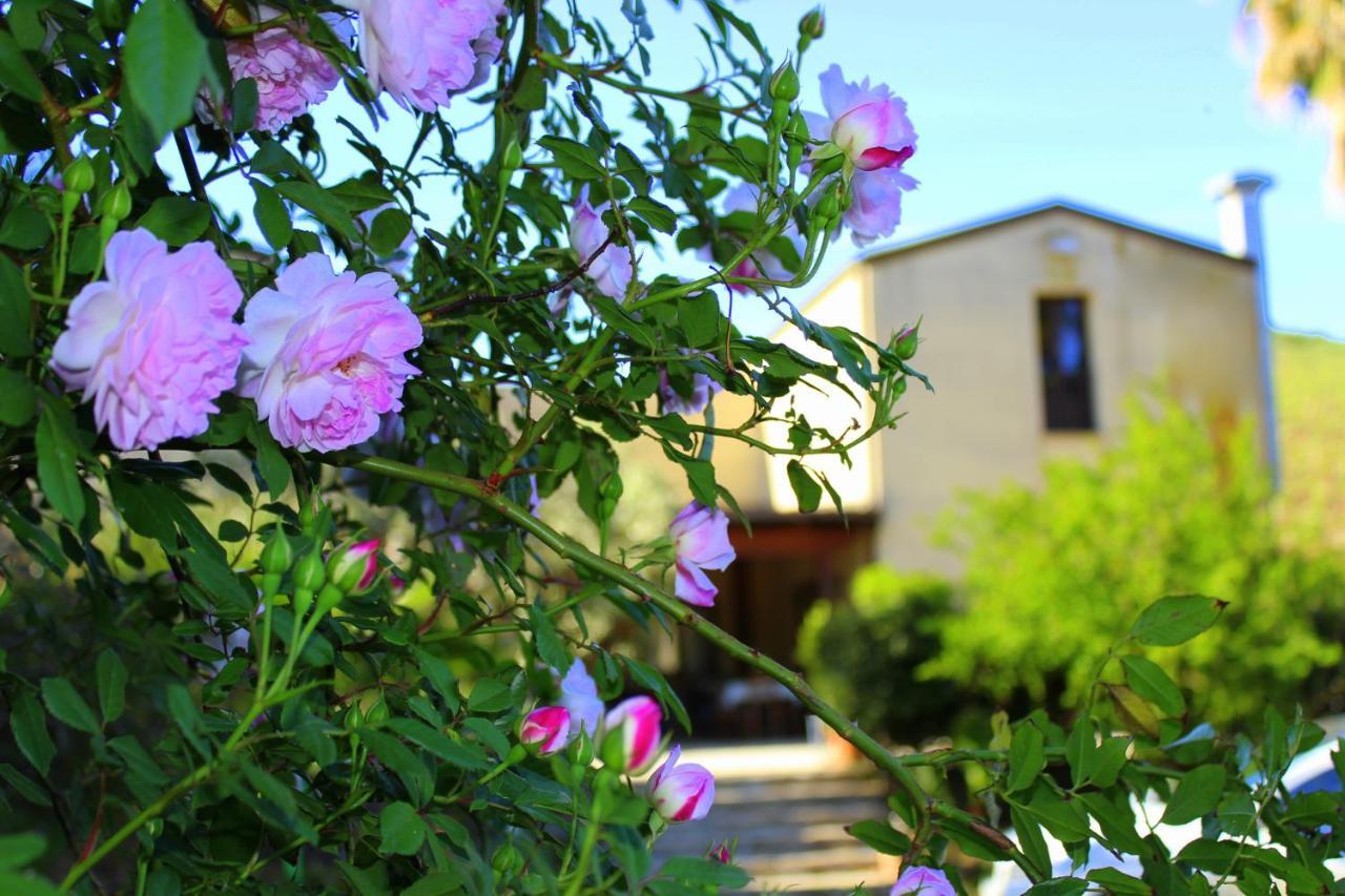 Agriturismo Tarantola Alcamo Exterior foto